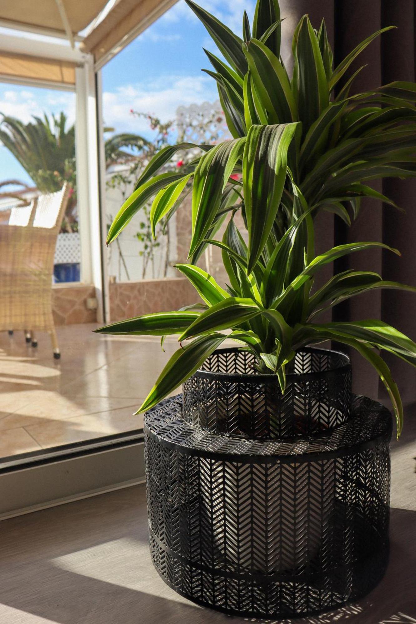 -tenerife Ferienhaus *