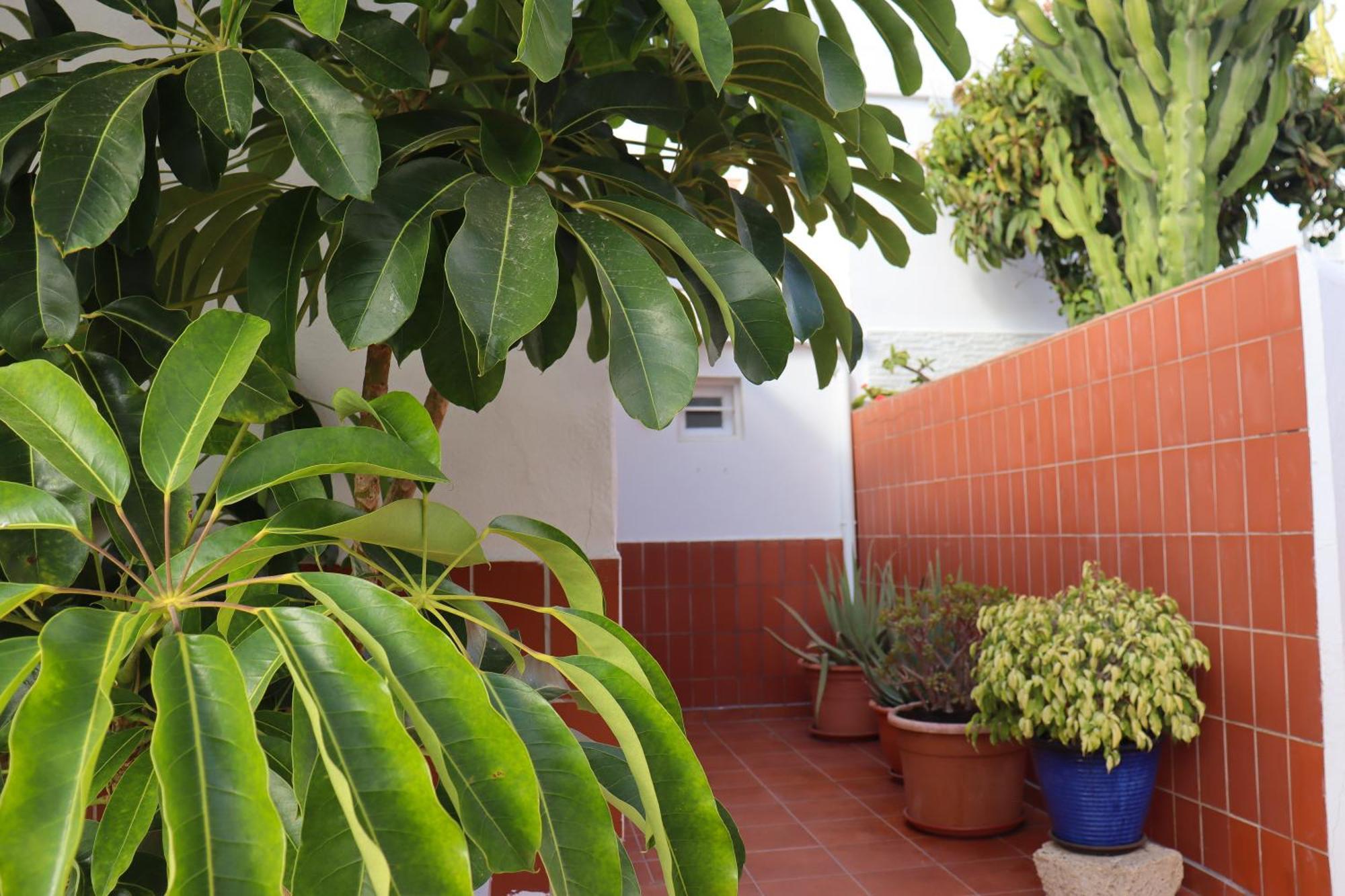 -tenerife Ferienhaus *